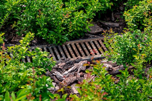 Underground Drainage Service in Columbia