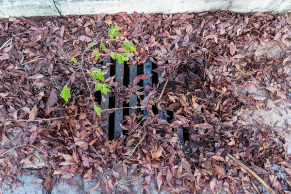 Yard Drain Unclogging in Columbia