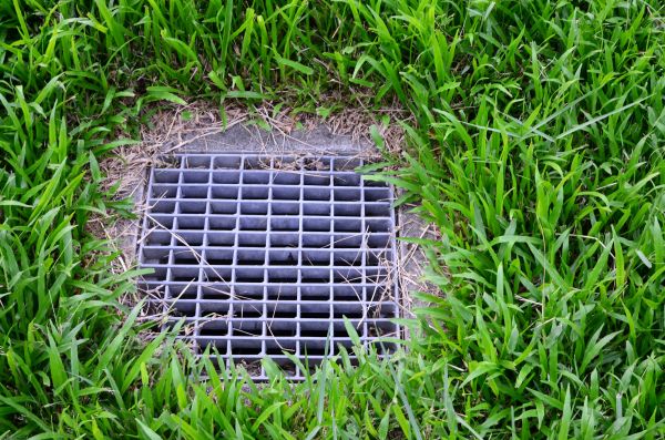 Yard Water Drainage in Columbia