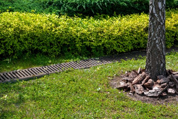 Residential Landscape Drainage in Columbia
